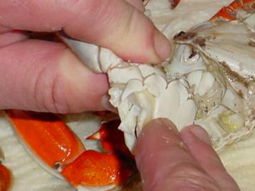 Peeling Crabs